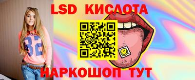 прущие грибы Усть-Джегута