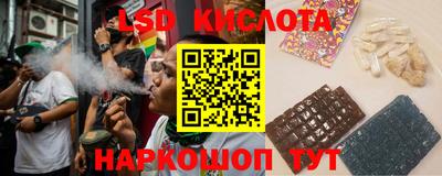 прущие грибы Усть-Джегута