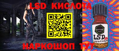 прущие грибы Усть-Джегута