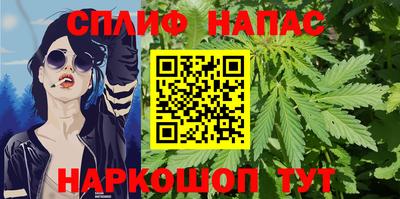 прущие грибы Усть-Джегута