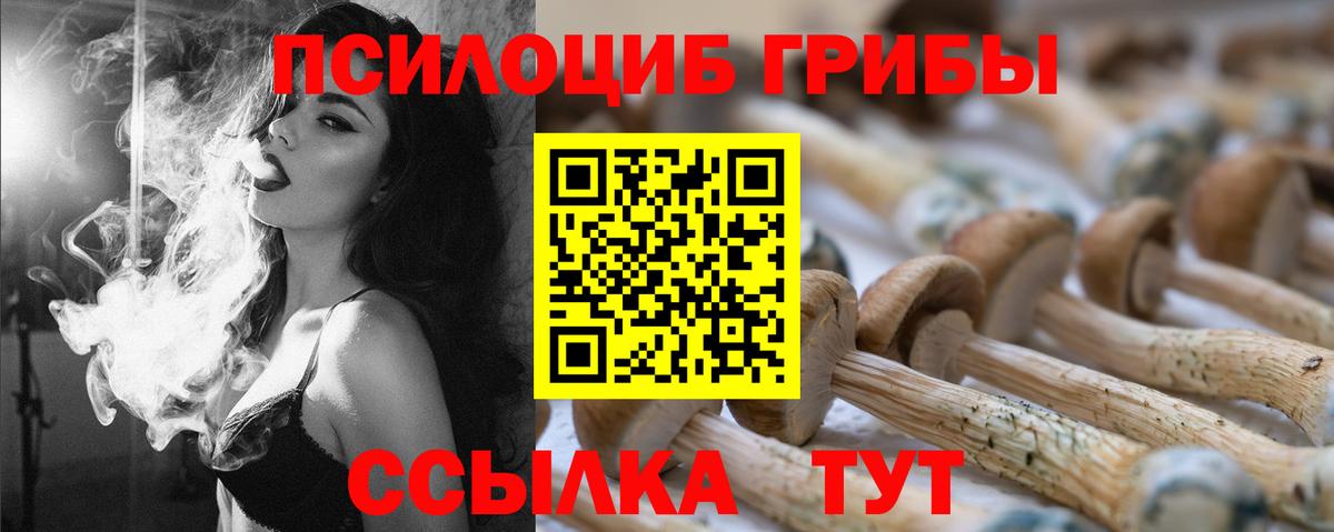 Псилоцибиновые грибы Cubensis  Вход с VPN  Муравленко 